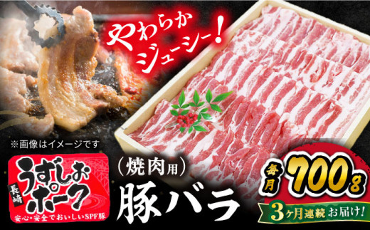 【訳あり】【3回定期便】焼肉用 長崎うずしおポーク 豚バラ（ 焼肉 用）700g 長崎 豚 豚肉 焼き肉 バラ BBQ ブランド豚 ＜スーパーウエスト＞[CAG020]