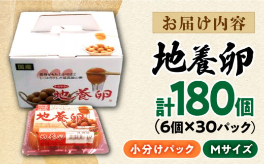 最高級 卵 地養卵 Mサイズ 計180個（6個×30パック） 長崎県産 西海市 たまご 卵 玉子 タマゴ 鶏卵 オムレツ 卵かけご飯 朝食 料理 人気 卵焼き＜垣山養鶏園＞ [CBB013]