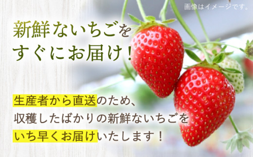 【先行予約】【数量限定】【 訳あり 】 ゆめのか 苺 約2kg （250g×4パック×2箱）＜川原農園＞ [CDR005]