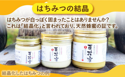 【数量限定】天然蜂蜜｢百花蜜｣ 計800g（400g×2個）《今年は希少です》＜高岸農園＞ [CCH002]