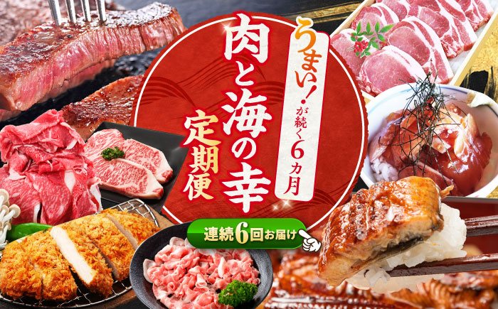 【6回 定期便 】お肉と海の幸〜見つけた！西海の宝物定期便〜 西海市 定期便 月替わり 長崎和牛 サーロイン さーろいん ステーキ 鰻 うなぎ [CZZ021]