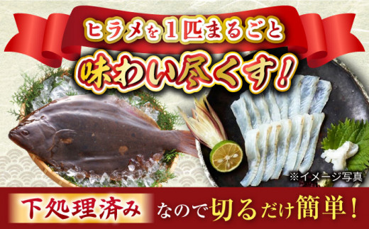 【新鮮手間なし！】 ヒラメ のフィレ（皮付き2切れ＆皮なし2切れ）＋あら＋丸々１匹＜大島水産種苗＞[CBW002]