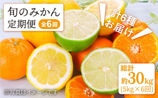 みかん 【11月から毎月届く♪6回定期便】 旬の みかん 定期便 西海市 みかん 蜜柑 柑橘 定期便 みかん ミカン みかん ＜中尾果樹園＞ [CEL005]