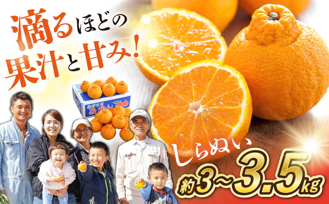 【2027年3月より配送予定】西海市産 不知火 （ デコポン と同品種） しらぬい 約3kg〜3.5kg ＜川添みかん園＞ [CCT009] みかん デコポン