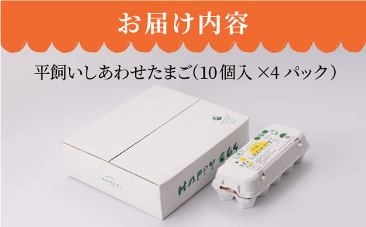 【月1回40個×6回 定期便 】 平飼い 「 しあわせ たまご 」計240個＜松本養鶏場＞ [CCD025]