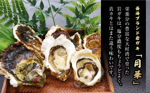 牡蠣 岩ガキ 約 2kg （約13個～20個） 牡蠣 カキ かき 生牡蠣 岩牡蠣 ナイフ付き 殻付き牡蠣 かき カキ ＜ハマフジ水産＞ [CES001]