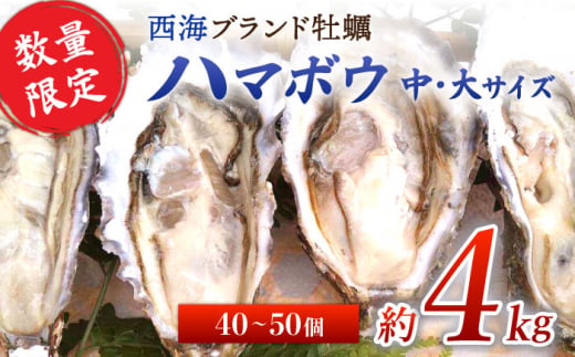 牡蠣 カキ 【着日指定可】西海 ブランド 牡蠣 「 ハマボウ 」 約4kg（40～50個）（中～大サイズ） カキ 牡蠣 生ガキ 4kg 日時指定 冷蔵 牡蠣 カキ 牡蠣 ＜ハマフジ水産＞ [CES006]