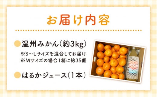 【先行予約】 温州 みかん 3kg＆果汁100％ストレート ジュース 1本 みかん ミカン 柑橘 西海みかん 温州みかん 贈答 ギフト みかん ジュース  ＜Da・IWASAKI　FARM＞ [CCZ003]