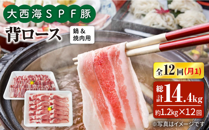【月1回約1.2kg×12回定期便】大西海SPF豚 背ロース（焼肉＆しゃぶしゃぶ用）計14.4kg 訳あり ＜大西海ファーム＞ [CEK129]