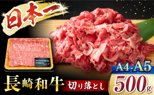 切り落とし【A4～A5】長崎和牛 切り落とし　500g＜株式会社MEAT PLUS＞ [CFT003]