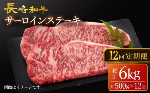 【訳あり】【12回定期便】 長崎和牛 サーロイン ステーキ 約500g（2枚） 【大西海ファーム食肉加工センター】 [CEK181]