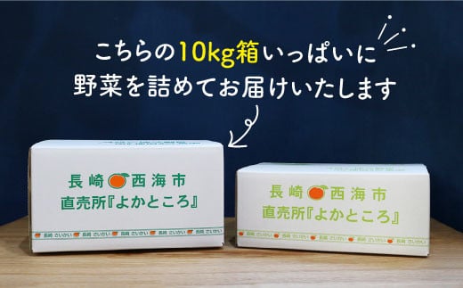 野菜 詰め合わせ（5種以上） 西海 野菜 詰め合わせ 旬 新鮮 採れたて ＜西海町特産品直売所 よかところ＞ [CBO003]