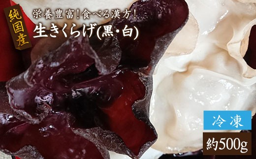 【食べる漢方薬】純国産 生きくらげ（黒＆白）合計500ｇ【冷凍】＜かわはら＞ [CAD002]