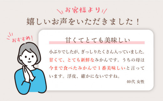 みかん 【☆先行予約☆特秀品☆】 石地みかん 約10kg（傷み保証分300g含む） みかん ミカン 西海 みかん 西海市 みかん 贈答 ギフト ＜川添みかん園＞ [CCT008]