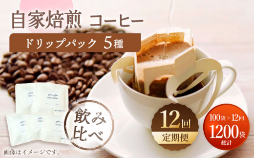 【飲み比べ】【12回定期便】ドリップバック 自家焙煎コーヒー 100袋（5種類×20袋） ＜giko coffee＞ [CFK040]