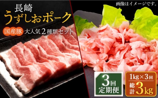 【訳あり】【3回定期便】長崎うずしおポーク 大人気2種 セット 計1000g 国産豚 ＜スーパーウエスト＞ [CAG223]