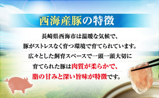 切り落とし 長崎県産 豚 切り落とし 約1kg（約500g×2パック） 豚肉 ブタ 豚肉 切り落とし 国産豚 きりおとし 切り落とし 小分け  ＜宮本畜産＞ [CFA003]