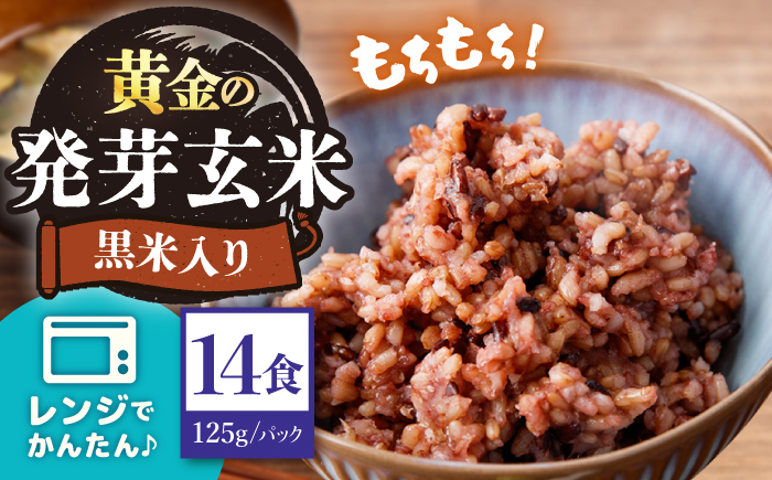 【農家のこだわり米】 黄金の発芽玄米 黒米入り 125g×14食＜AgriBaseさいかい＞[CGV002]