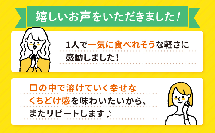 【訳あり 】 生 ロールケーキ 2本＜お菓子のいわした＞ [CAM043] ロールケーキ ケーキ スイーツ お菓子 おやつ ギフト 贈答 プレゼント 記念日 誕生日 