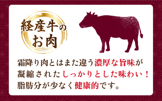 【12回定期便】 サーロイン ステーキ  長崎県産黒毛和牛  500g（2～3枚） 和牛 牛 牛肉 サーロイン ステーキ 牛ステーキ  ＜宮本畜産＞ [CFA033]