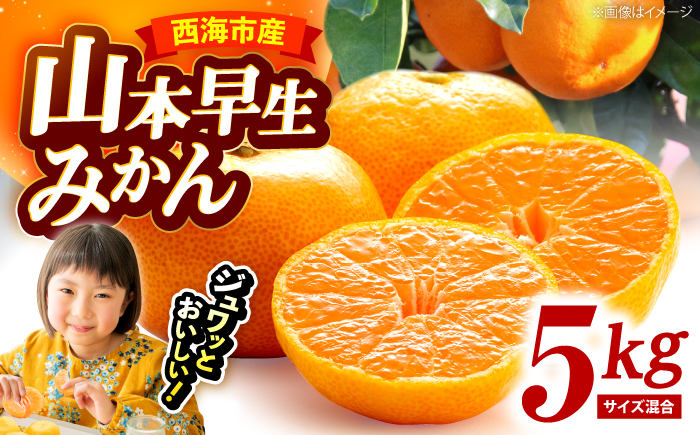 [11月中旬より配送開始] 山本早生 みかん 約5kg(S,Mサイズ混合)[濱崎ファーム] 