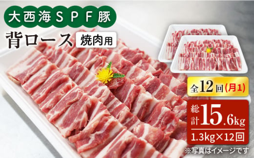 【訳あり】【月1回約1.3kg×12回定期便】大西海SPF豚 背ロース（焼肉用）計15.6kg＜大西海ファーム＞ [CEK128]