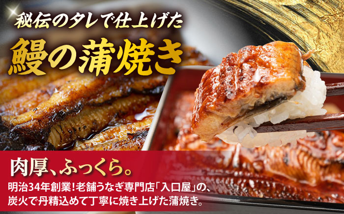 【3回定期便】海の幸〜見つけた！西海の宝物 定期便 〜 [CZZ026]  長崎 西海 魚 海の幸 海鮮 加工品 うなぎ 海鮮丼 贈答 ギフト