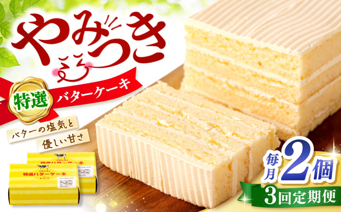 【3回定期便】【ブーム再来！あの頃を思い出す味】 特選 バターケーキ 2個 ＜お菓子のいわした＞ [CAM053]