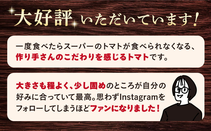 ☆期間限定寄附額☆【 訳あり 】大島トマト ルビーのしずく 約1.2kg＜大島造船所 農産グループ＞ [CCK025] 長崎 西海 トマト とまと 大島トマト 高糖度 贈答 トマト 人気 甘い 高糖度 高評価 訳あり 不揃い 規格外 トマト ギフト 贈答 フルーツトマト