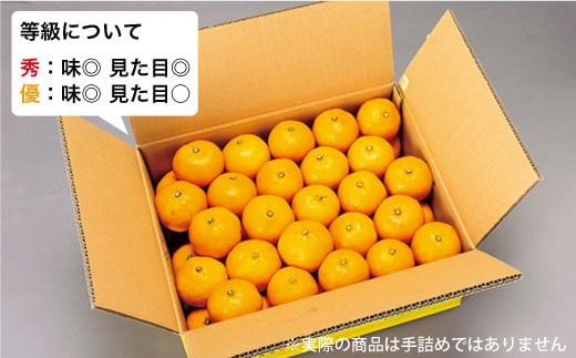 【先行予約☆限定20箱】西海１号（温州みかん）約5kg（秀品/Mサイズ）＜西海柑橘農業協同組合＞ [CCF005]