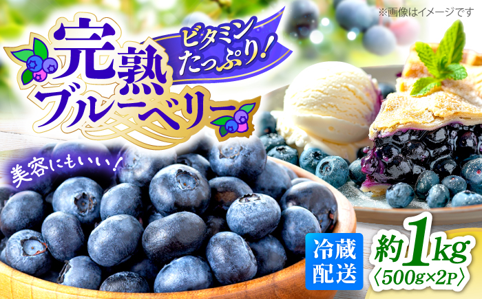 【2026年6月中旬より順次発送】完熟 生 ブルーベリー 計1kg（約500g×2パック） ＜広津農園＞ [CBN008] 冷蔵 栽培期間中 農薬不使用 ブルーベリー 果物 果実 冷蔵 生ブルーベリー ブルーベリー 西海市産