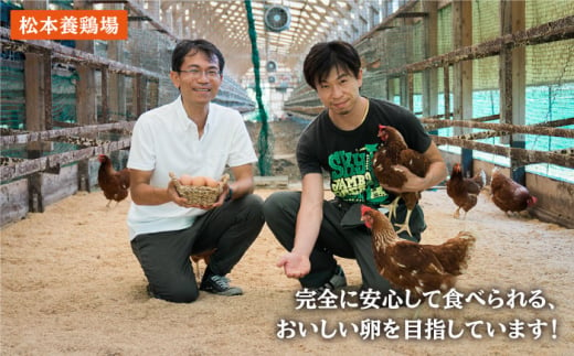 【毎月40個×12回 定期便 】 平飼い 「 しあわせ たまご 」計480個＜松本養鶏場＞ [CCD030]