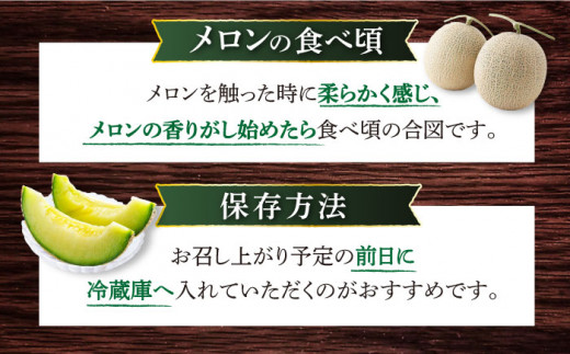 タカミ メロン 【先行予約】 2玉 (合計約3.7kg～3.9kg) メロン めろん 果物 フルーツ 長崎 西海市 贈答 ギフト ＜白石農園＞ [CBI001]