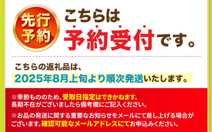 【8月発送】シャインマスカット 約1.5kg（2房）＜濱崎農園＞ [CGN002]