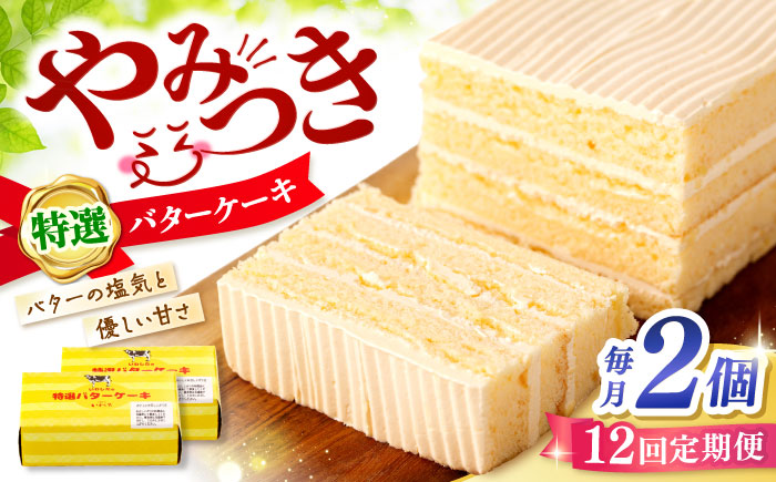 【12回定期便】【ブーム再来！あの頃を思い出す味】 特選 バターケーキ 2個 ＜お菓子のいわした＞ [CAM055]