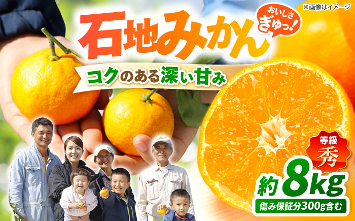 【12月上旬より配送☆秀品】石地みかん 約8kg（傷み保証分300g含む）＜川添みかん園＞ [CCT007] みかん