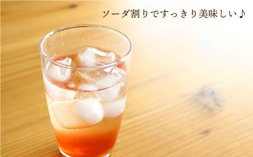 【月1回3種×3回定期便】 飲む玄米酢 酢らり （ゆず・しそ・いちご）計9本＜川添酢造＞ [CDN004]