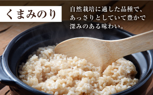 【 令和5年産 新米 ☆先行予約】【3回定期便】【木村式自然栽培】 玄米 くまみのり 約 10kg ＜ハマソウファーム＞ [CBR022]