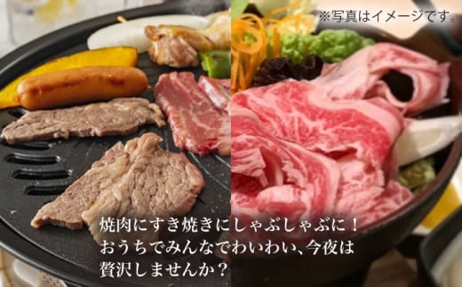 【6回定期便】【訳あり】長崎和牛 ロース食べ比べ 約1000g（焼き肉用、すき焼き・しゃぶしゃぶ用各約500gずつ）×6回定期便＜大西海ファーム＞ [CEK157]