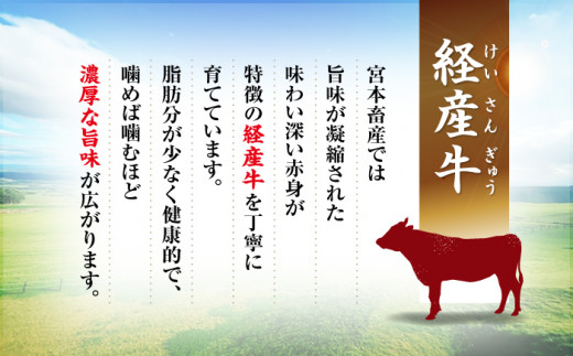 【6回定期便】 切り落とし セット 長崎県産黒毛和牛 長崎県産豚 切り落とし 計12kg（約2kg×6回） 和牛 牛 牛肉 豚肉 ブタ 豚 切り落とし 和牛切り落とし  ＜宮本畜産＞ [CFA023]