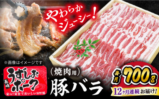 【 訳あり 】【12回 定期便 】 焼肉用 長崎うずしおポーク 豚バラ（ 焼肉 用）700g 長崎 豚 豚肉 焼き肉 バラ BBQ ブランド豚 ＜スーパーウエスト＞[CAG022]