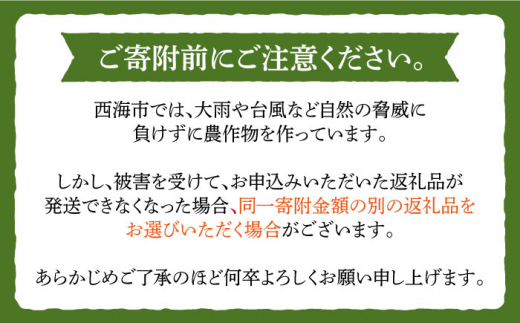 【12回定期便】 ひのひかり 白米 ＆ 玄米 計4kg（各2kg）＜ハマソウファーム＞ [CBR032]