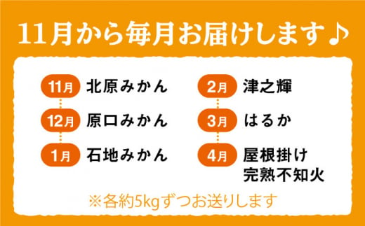 みかん 【11月から毎月届く♪6回定期便】 旬の みかん 定期便 西海市 みかん 蜜柑 柑橘 定期便 みかん ミカン みかん ＜中尾果樹園＞ [CEL005]