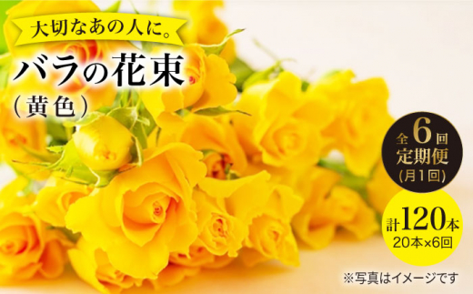 【6回定期便】【記念日には バラ を送ろう】 バラ の 花束 （黄） 花 花束 バラ ばら ブーケ 記念日 贈答 ギフト プレゼント ＜花工房るふらん＞ [CCR033]