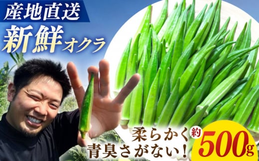 【朝採れ旬野菜】オクラ 約500g ＜パッパラパー農園＞ [CFI007]