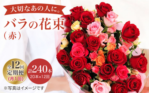 【12回定期便】【記念日には バラ を送ろう】 バラ の 花束 （赤） 花 花束 バラ ばら ブーケ 記念日 贈答 ギフト プレゼント ＜花工房るふらん＞ [CCR022]