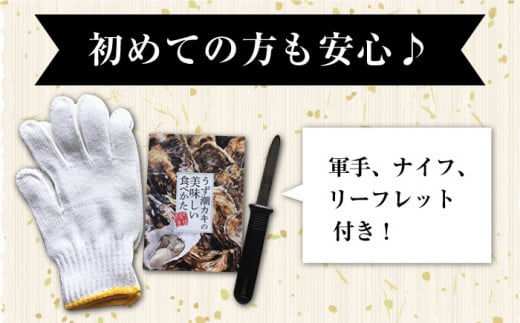 牡蠣 カキ 【着日指定可☆オゾン水で24時間浄化】【冷蔵】 うず潮 カキ 約5kg（約50～80個） 牡蠣 カキ 生牡蠣 生ガキ 殻つき 冷蔵 西海 長崎 贈答 ギフト 日時指定可  ＜西彼町漁協＞［CBZ002］