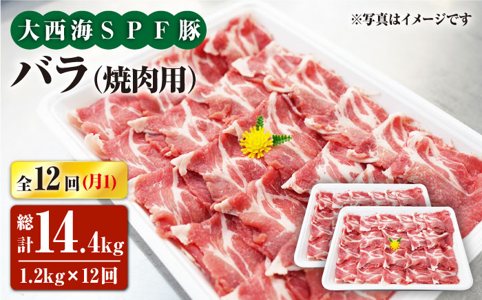 【月1回約1.2kg×12回定期便】大西海SPF豚 バラ（焼肉用）計14.4kg＜大西海ファーム [CEK121]