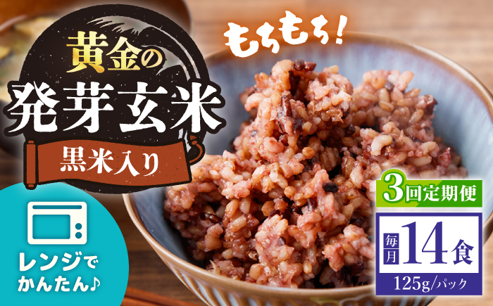 【3回定期便】【農家のこだわり米】 黄金の発芽玄米 黒米入り 125g×14食＜AgriBaseさいかい＞ [CGV004]