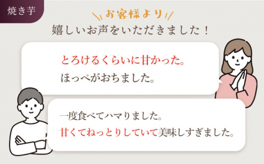 【☆先行予約☆】【12回定期便】【堪能セット】 べにはるか 堪能セット 各5パック ＜大地のいのち＞ [CDA052]